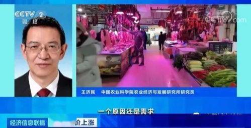 青岛爆料羊贵妃视频下载,揭秘网红羊贵妃的爆红瞬间  第1张