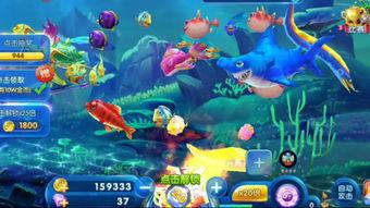 深海捕鱼爆料视频下载安装,揭秘神秘海洋生物的捕捞过程